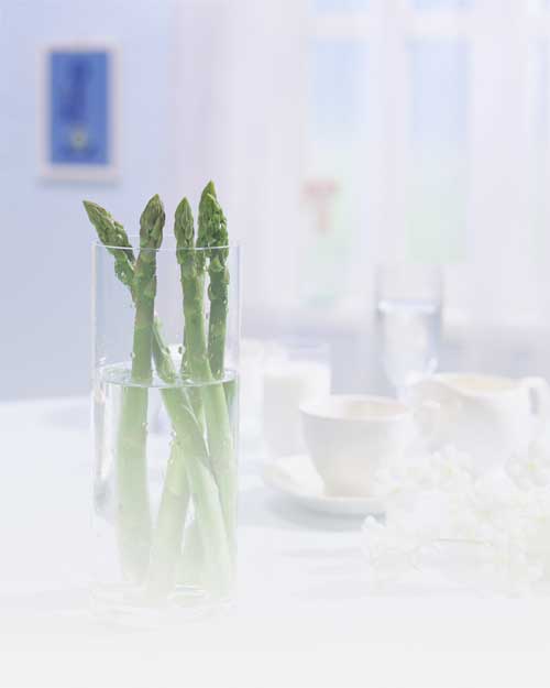 10种常见蔬菜你能认出来嘛？