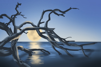 两个人的婚姻测算：婚姻免费测算小程序